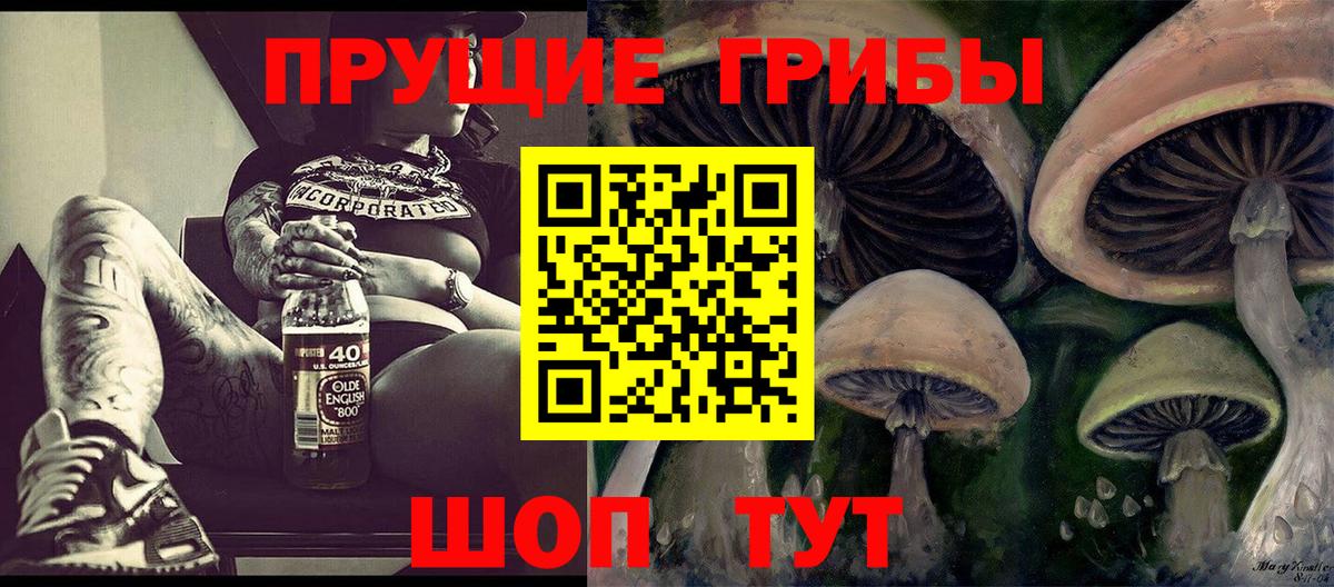 Севастополь  Галлюциногенные грибы Psilocybine cubensis  Псилоцибиновые грибы Psilocybe  Вход с VPN 